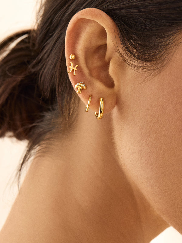 18K Gold Zodiac Earrings - Gold